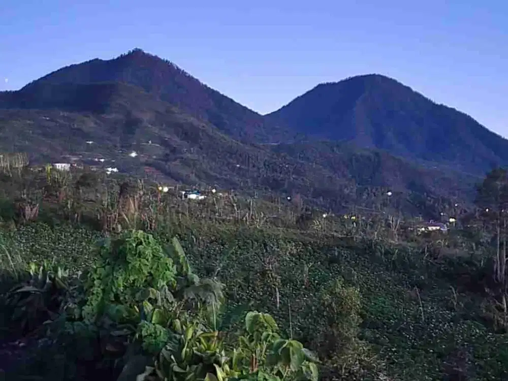 Lahan Premium Buleleng Bali View Pegunungan Luas 6,7 Ha