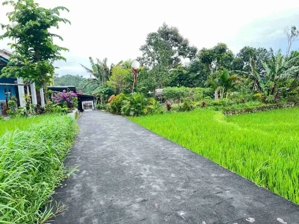 Dijual tanah tepi sungai view istimewa dekat kebun teh kemuning