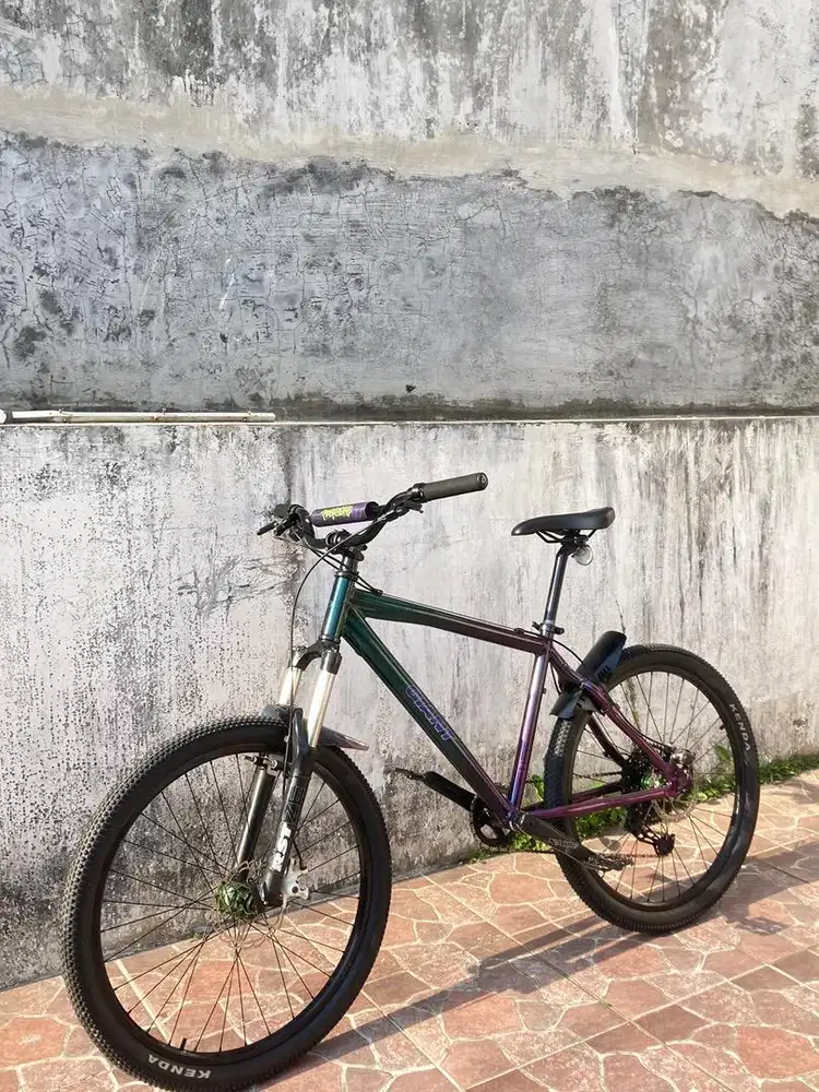 MTB Giant Alloy, 10 Speed Cues