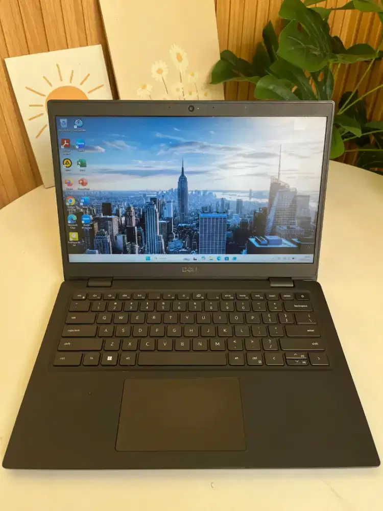 DELL LATITUDE 3420