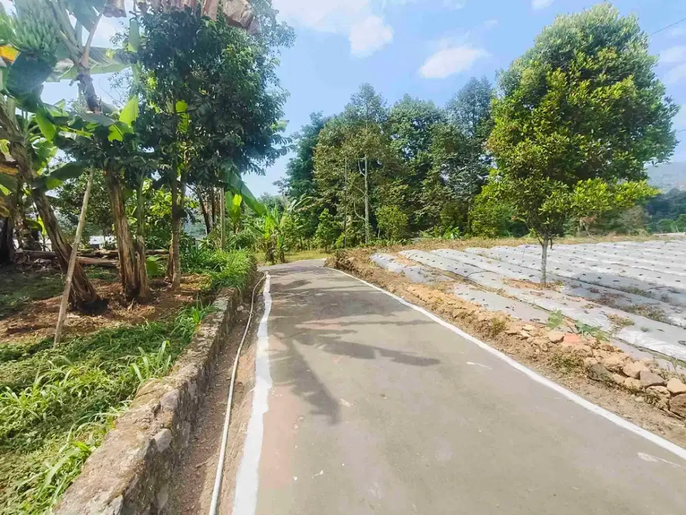Tanah pekarangan datar ngargoyoso karanganyar kawasan wisata