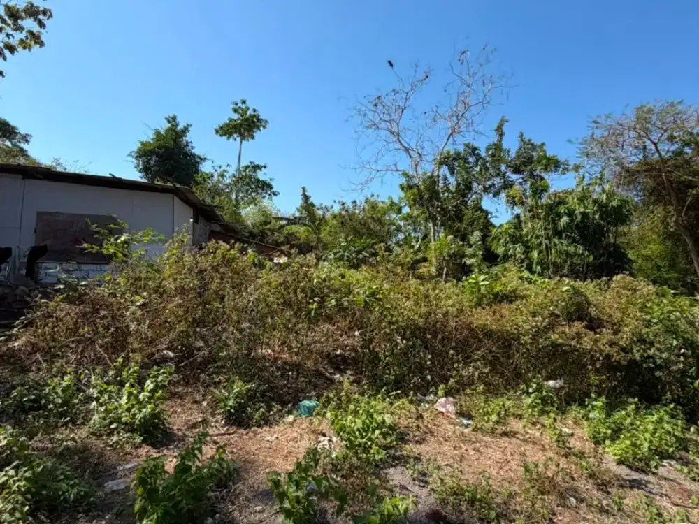 Kavling Premium Area Jimbaran Siap Bangun Cocok untuk Kos Premium Dekat Jalan Raya