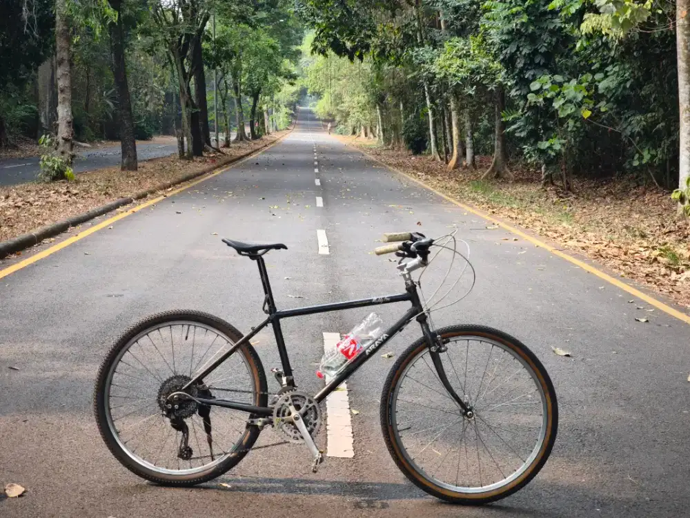 Sepeda classic araya muddyfox