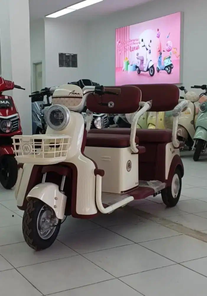 Sepeda Listrik AIMA T3L