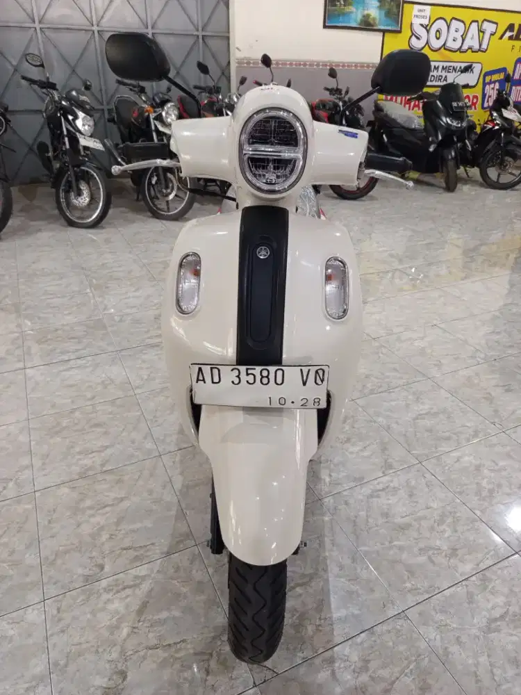 Fazzio 2023 Murah
