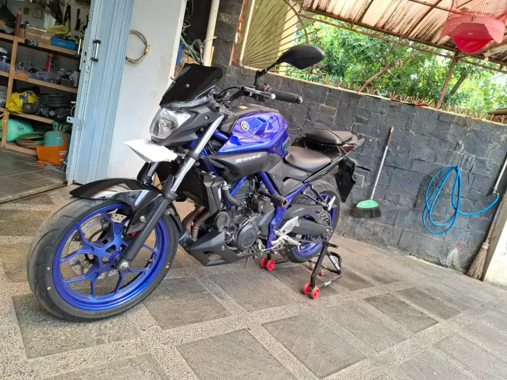 Yamaha MT250 low km