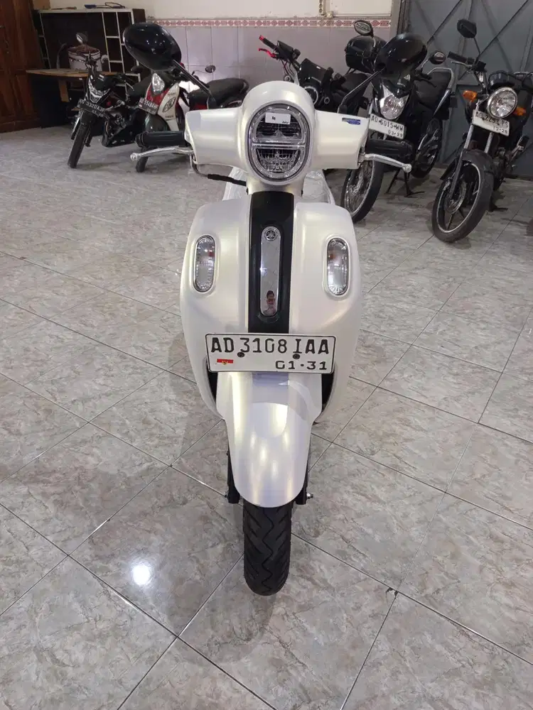Fazzio 2025 Murah