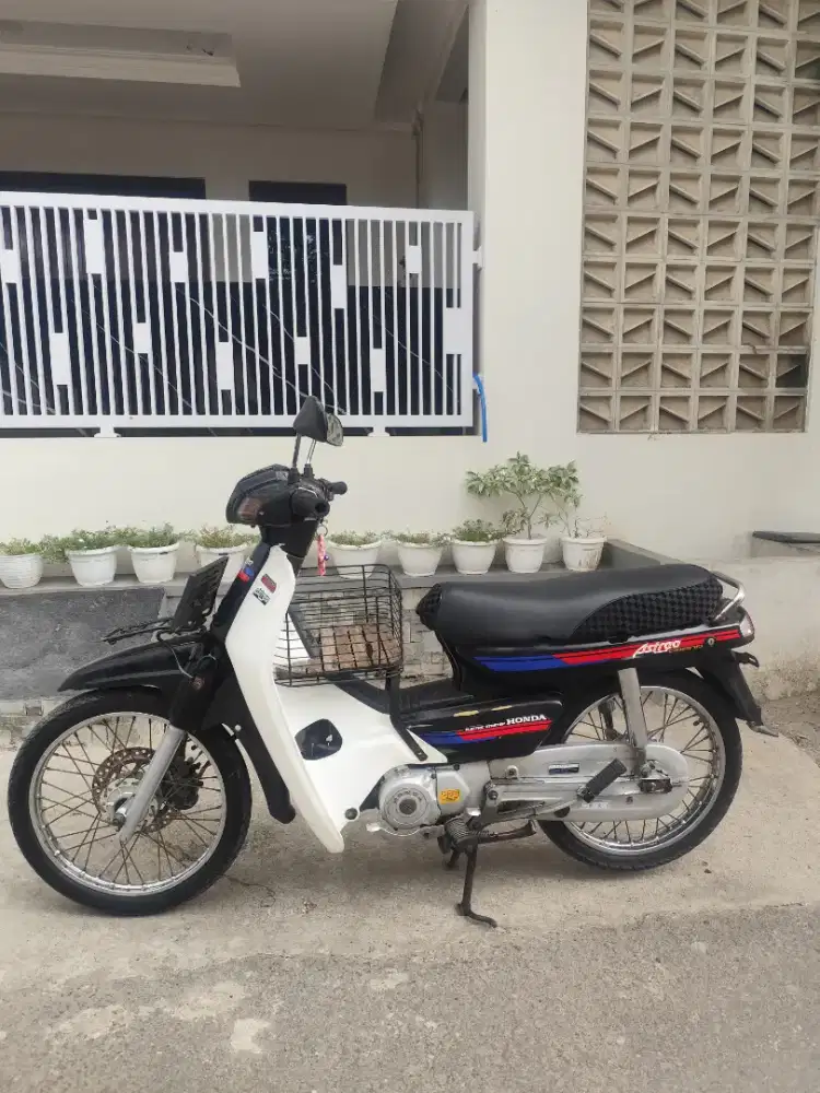 Astrea grand bulus 1991
