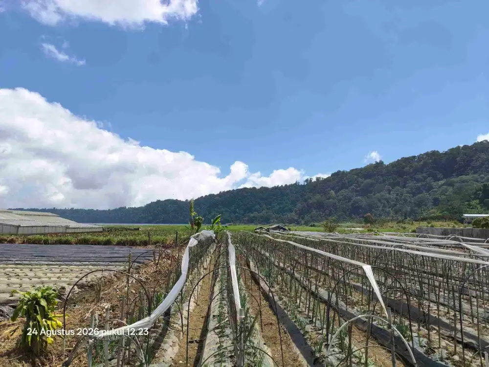 Tanah View Gunung dan Danau Dekat Bali Handara Golf