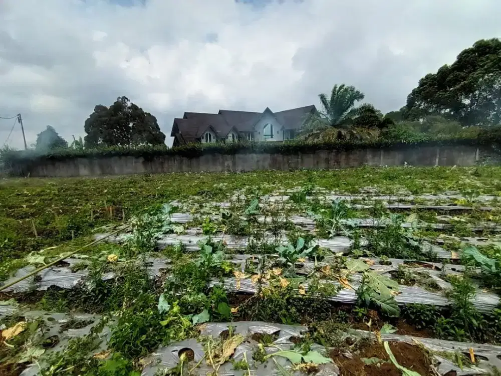 tanah kav lembang Nagrak kulon l