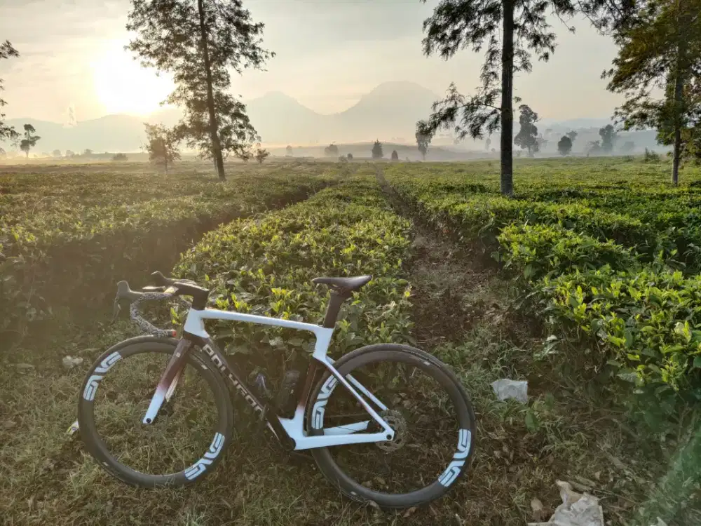 Sepeda Polygon  RB Helios A7 size s