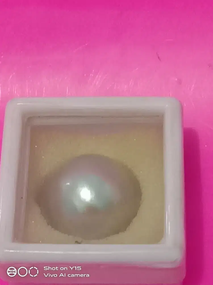 Mutiara asli dan murni putih dan hitam