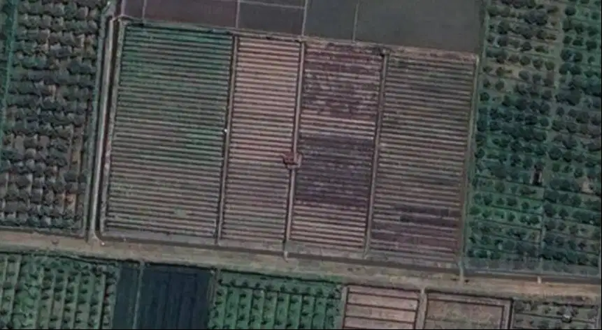 sawah produkti akses tepi jalan mobil simbar cluring banyuwangi