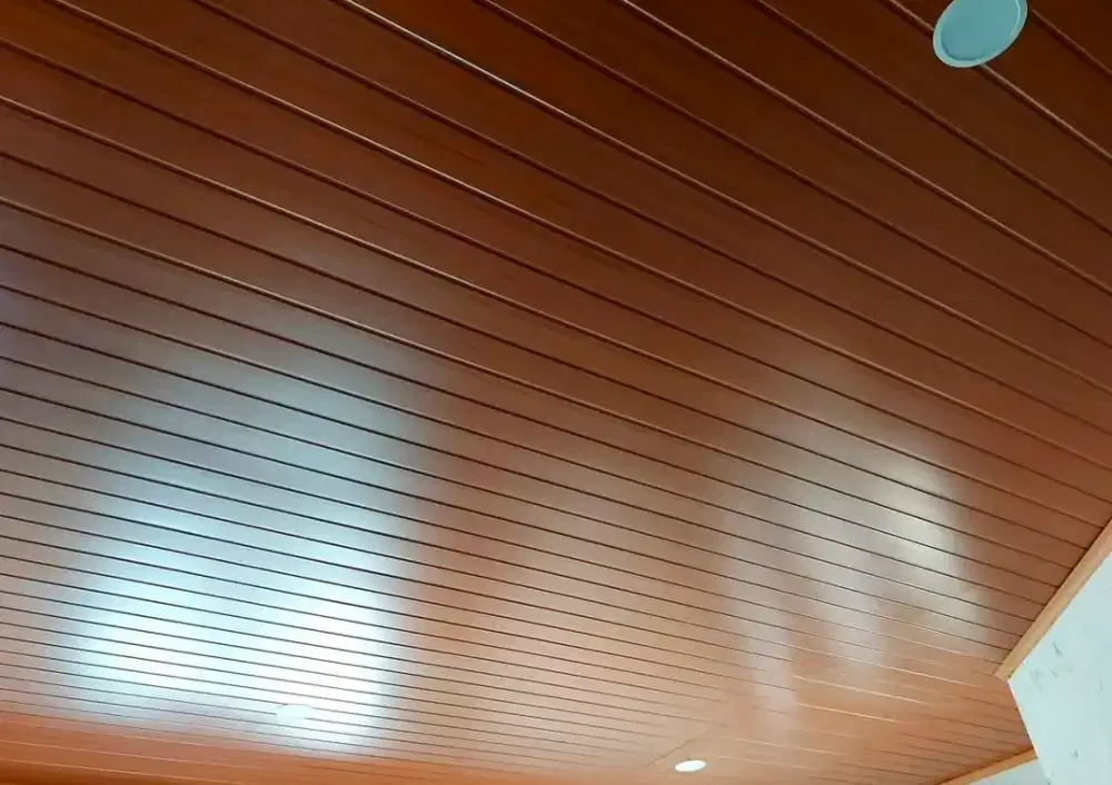 Plafon Pvc Polos