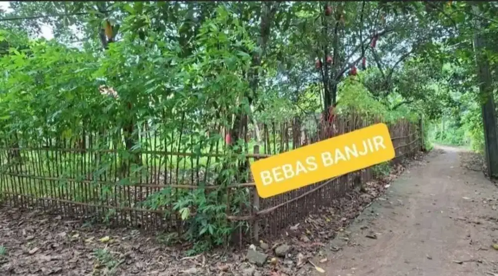 Dijual Tanah 313m² Strategis Bebas Banjir di Belakang RSUD Cileungsi