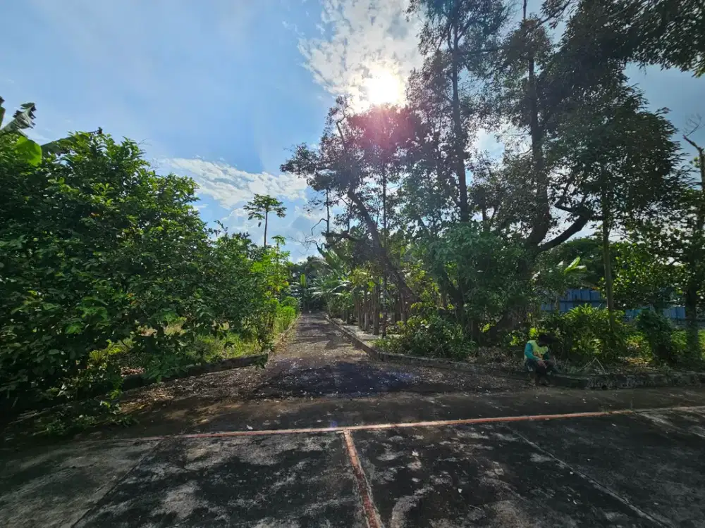 Dijual Cepat Tanah Kosong Namorambe
