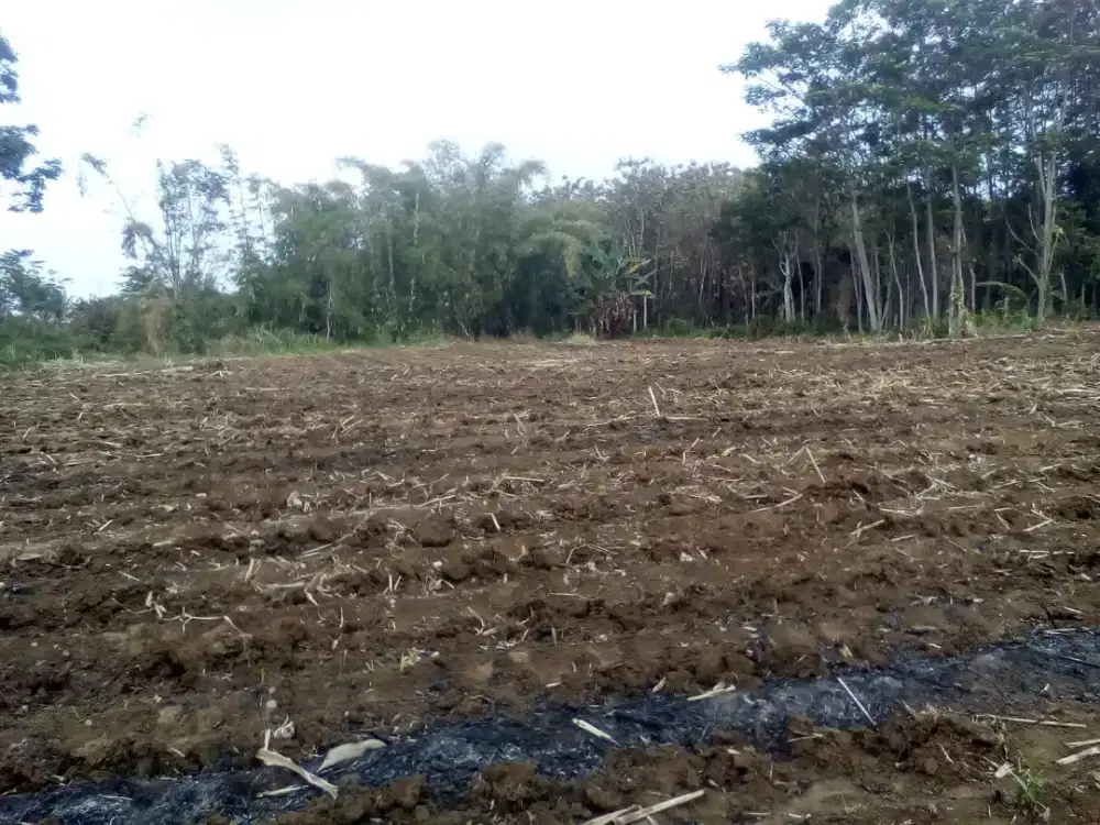 Tanah Pandanlandung, Siap tanah / siap bangun perumahan