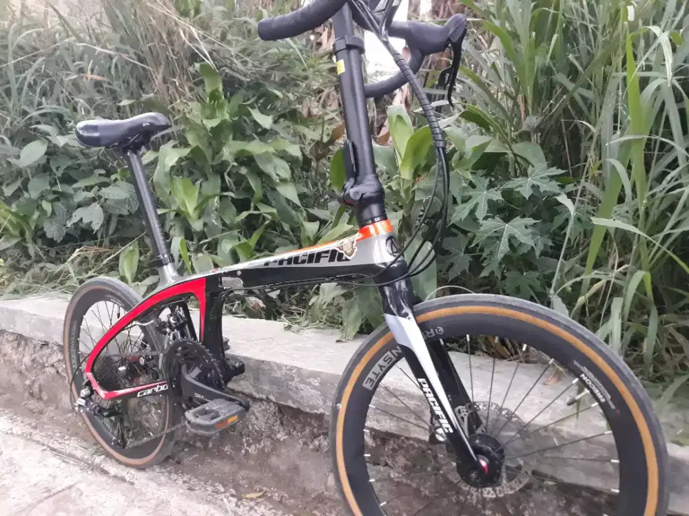 Sepeda lipat pacific carbon