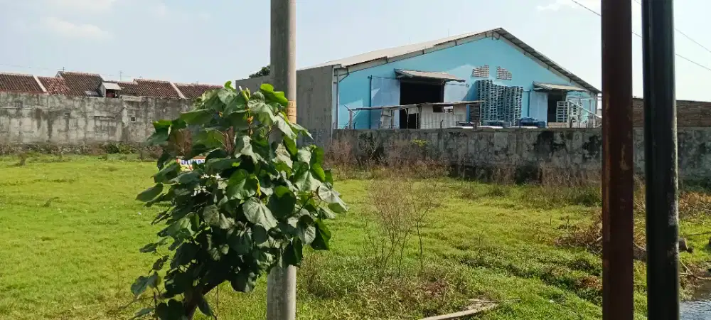 Jual tanah murah karanganyar jawatenngah