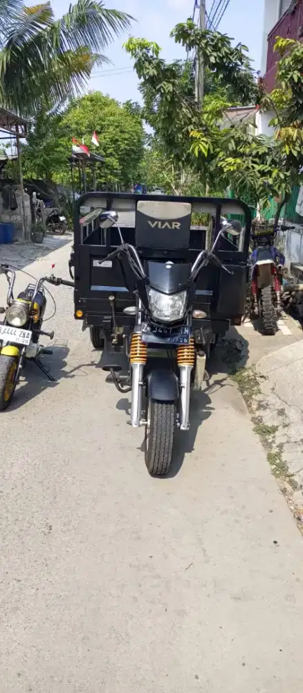 MOTOR VIAR RODA TIGA 300 CC