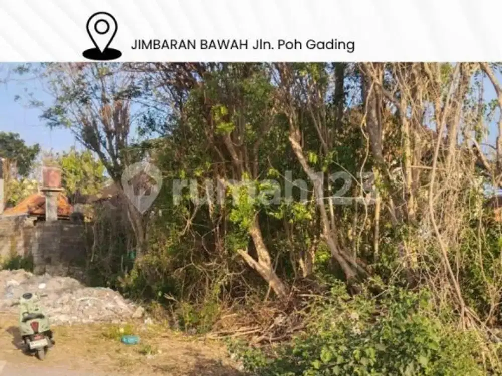 Dijual Tanah Jimbaran Bawah Jln. Poh Gading / Dekat Mcdonald & Kfc Jimbaran - Bali