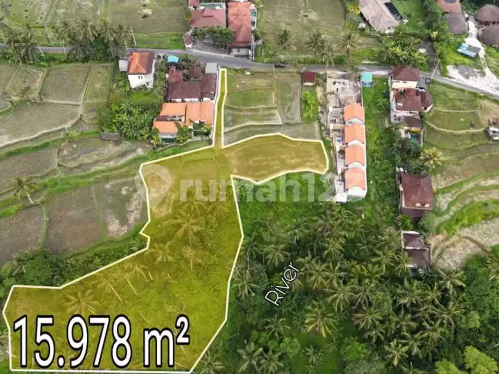 Beautiful Vacant Land in Kenderan Ubud With Amazing View