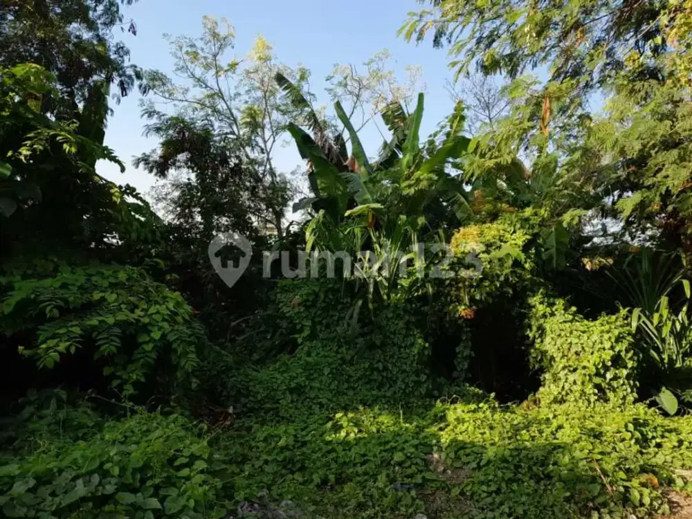 Dijual Tanah Full View Sawah Super Langka Siap Bangun di Jalan Padonan Pegending Badung Bali