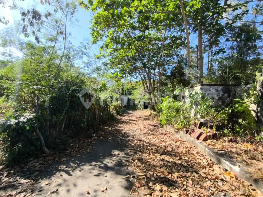 Dijual Cepat Tanah Bangunan 2 Lantai Full Ocean View Samudra di Kuta Selatan