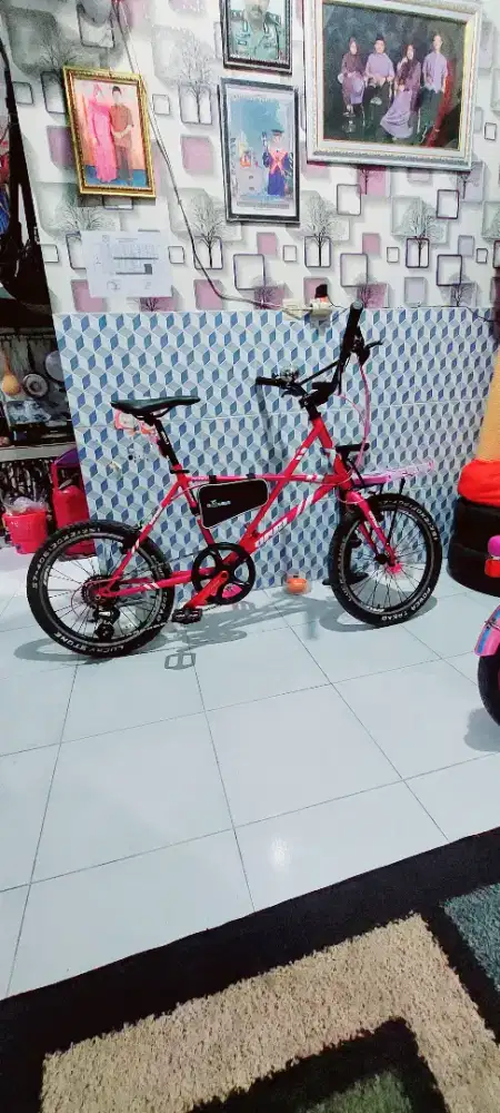 Sepeda minivelo