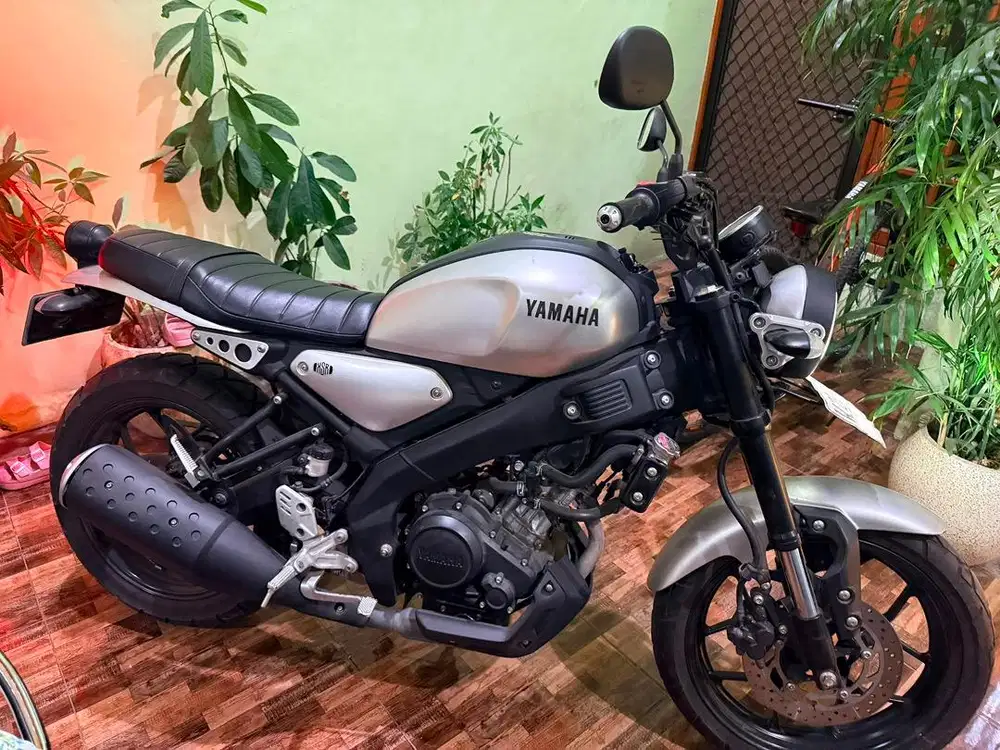 Yamaha XSR 2023