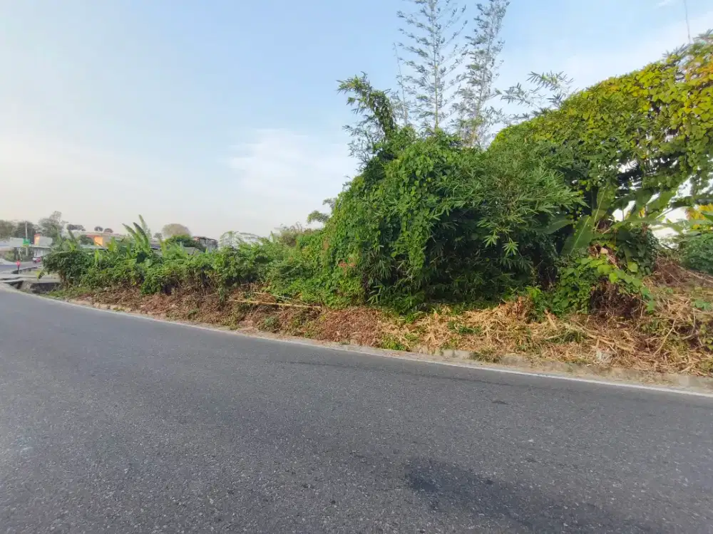 Dijual tanah kosong di jalan Koba Pangkalpinang