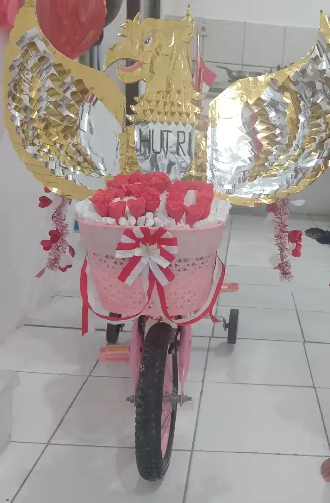 Sepeda pink anak