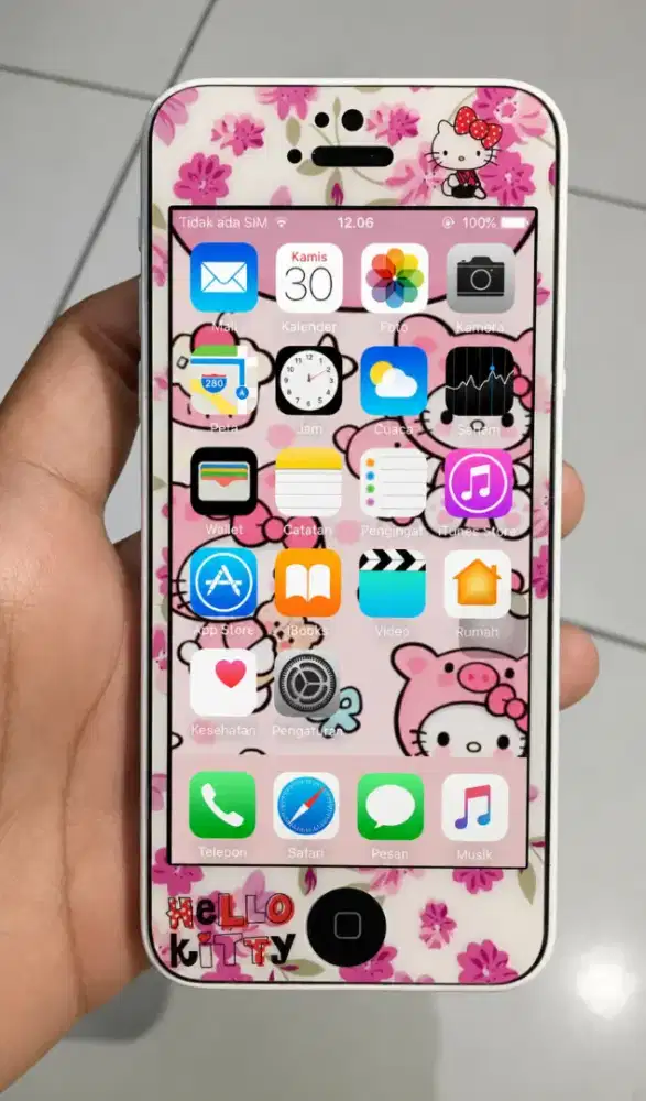 iPhone 5c wifi only