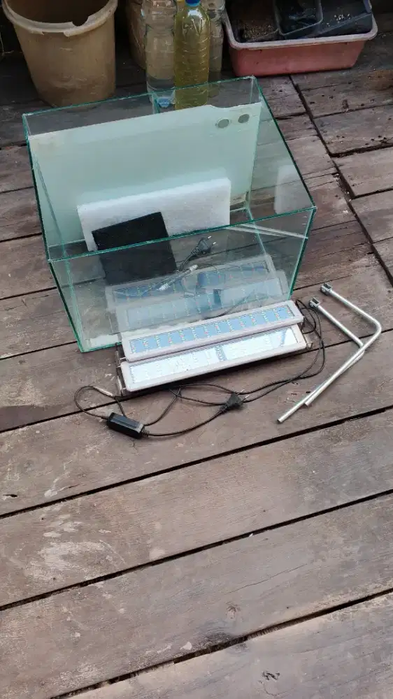 Akuarium ikan/aquascape