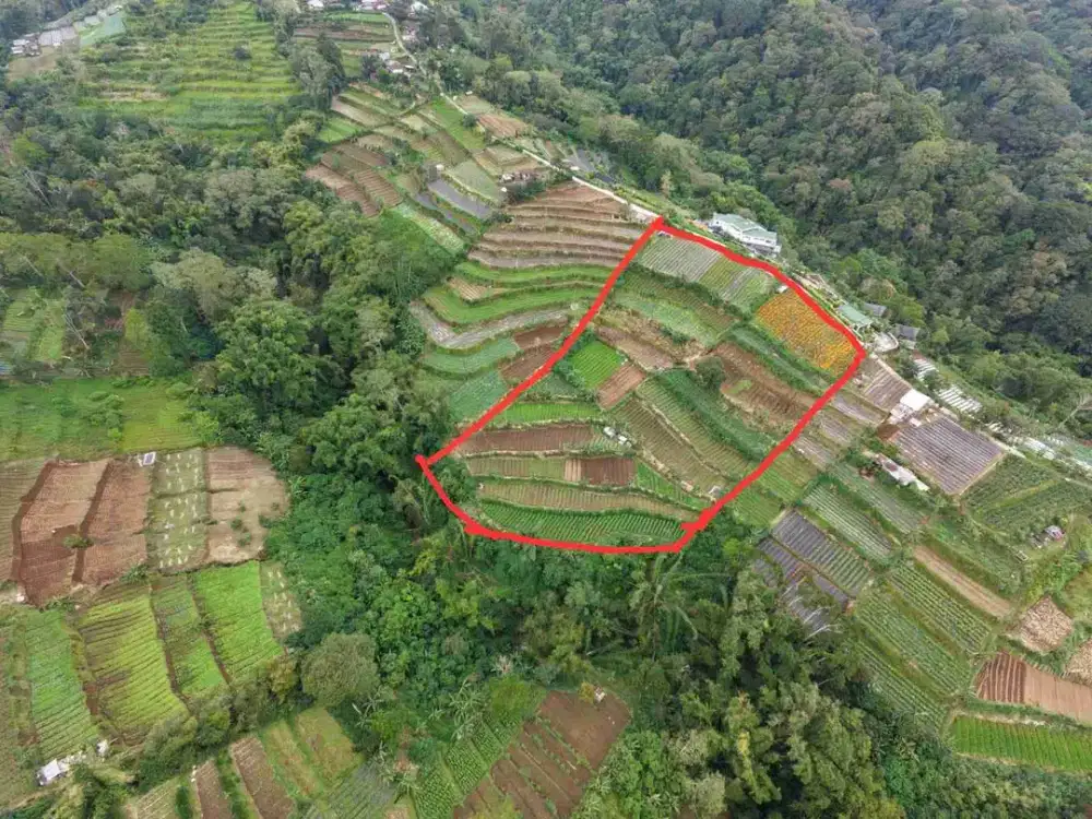 Tanah View Gunung bedugul tabanan bali