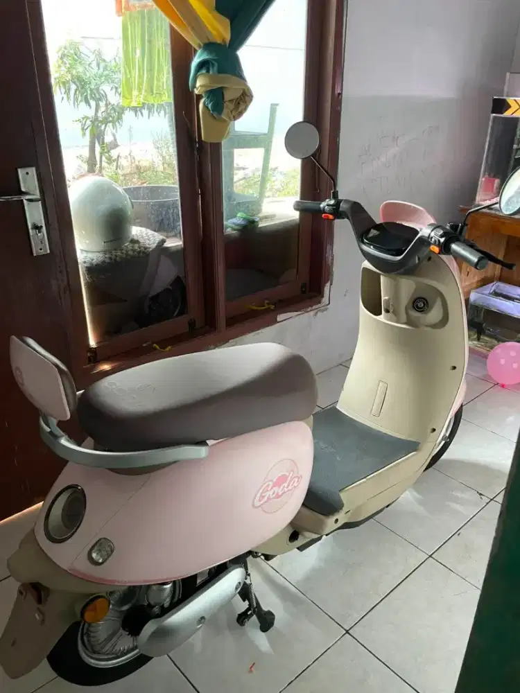 goda 166 plus mango