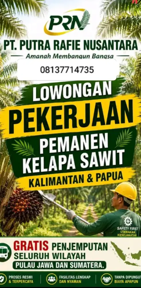 Lowongan kerja kalimantan