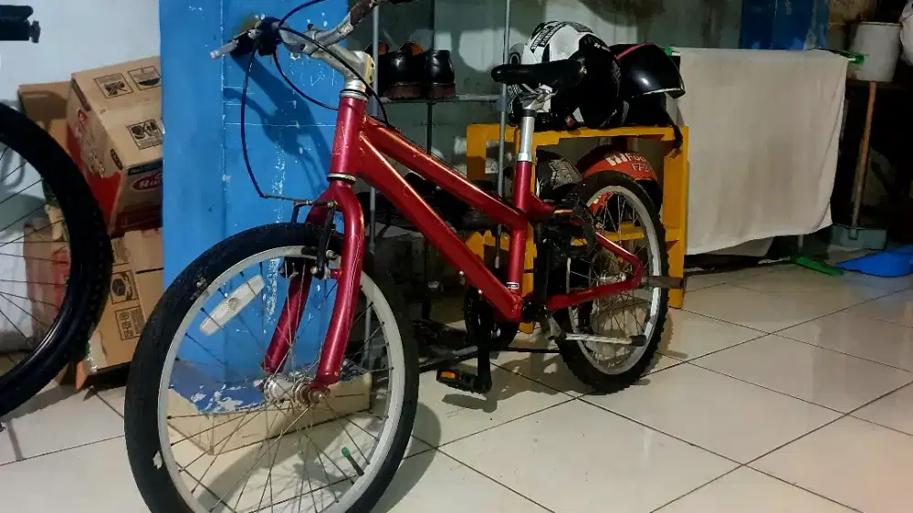 Sepeda Schwinn Lula 20 inch