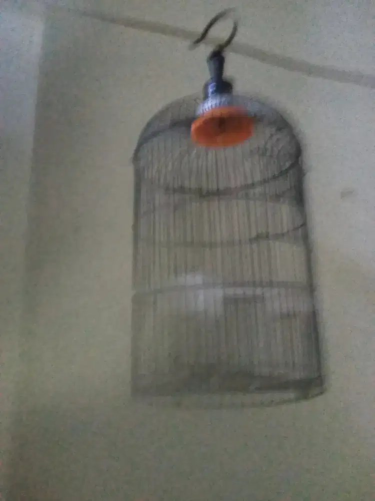 Kandang burung besi 2buah 150