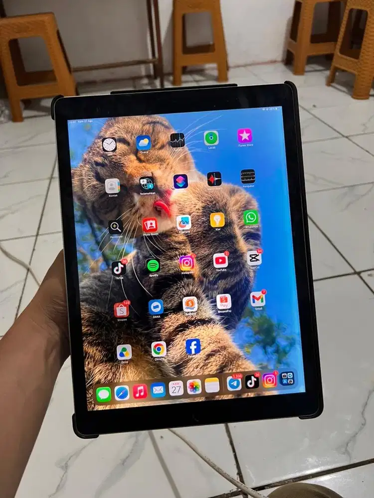 iPad pro gen 1   128GB