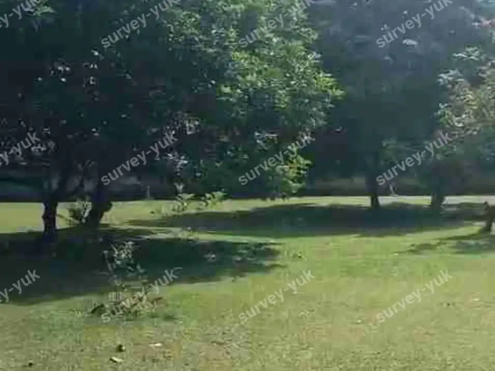 Tanah Lt 3000 m2 shm pondok Ranji