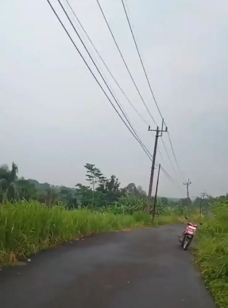 Jual Tanah Murah Sangat Strategis di Argapura Cigudeg Bogor Barat