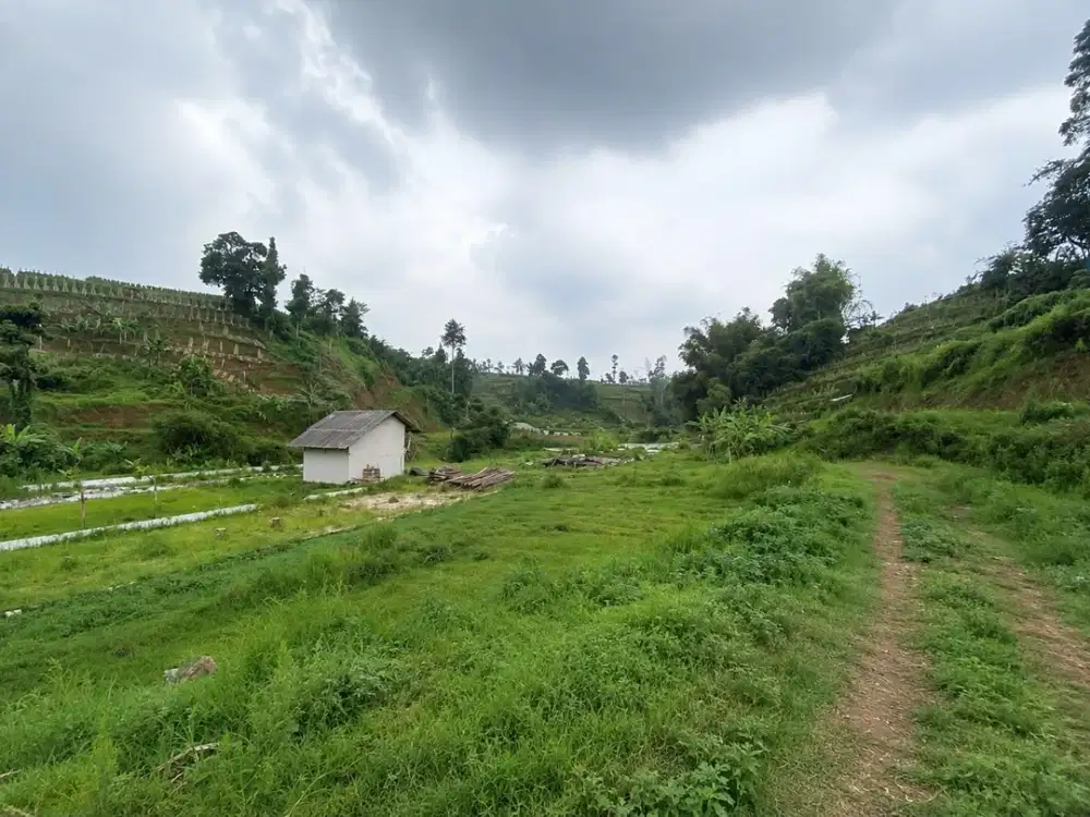 Tanah Luas Murah Cocok Untuk Villa di Cikidang Lembang