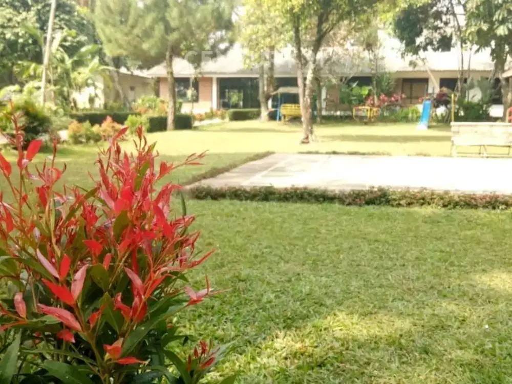 Dijual Sebagian Lahan Strategis Di Kawasan Wisata Puncak Bogor