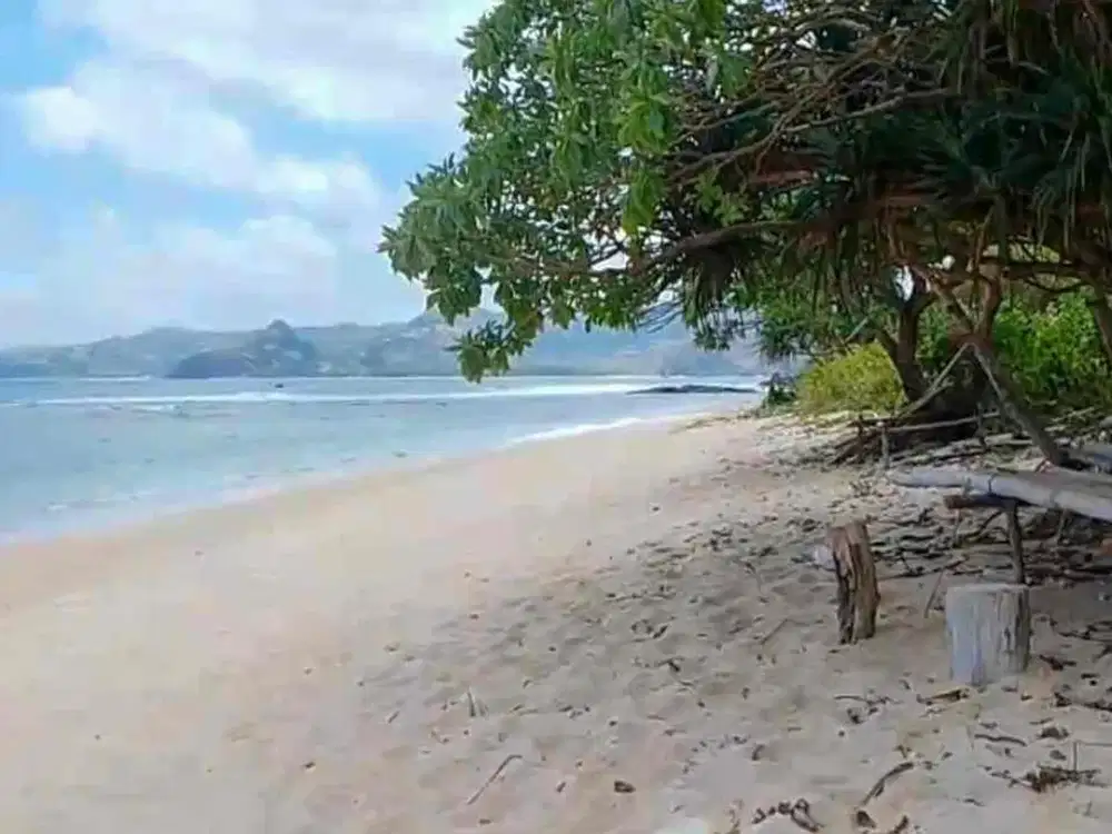 tanah mawi selong belanak lombok