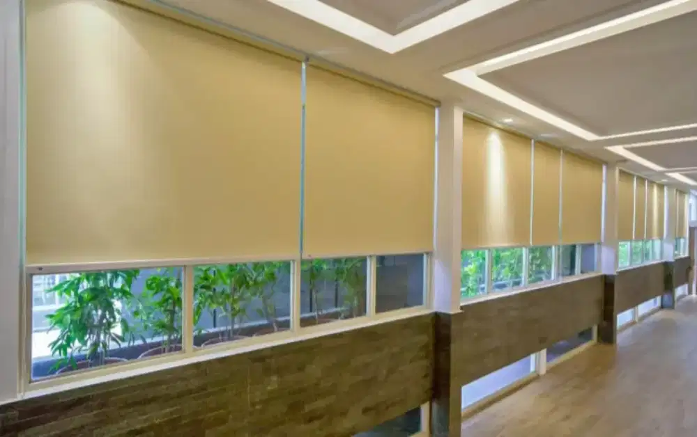 Roller Blind Indoor Modern Jenis Blinds Gorden Kantor Minimalis