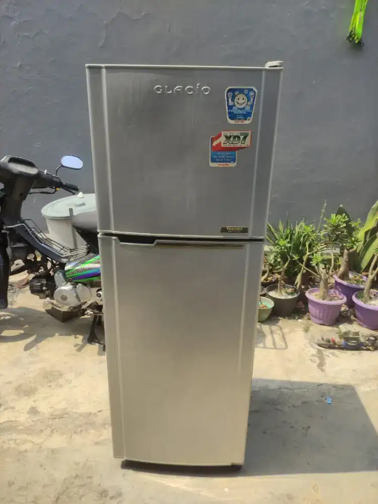 kulkas thosiba glacio 2 pintu