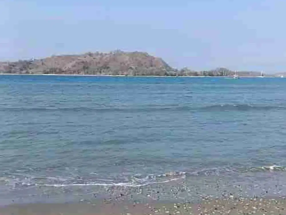 Tanah Sekotong Lombok Luas 90000M Cocok untuk Villa dan Hotel