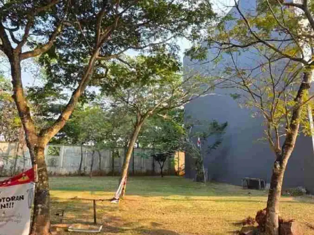 dijual foresta primavera