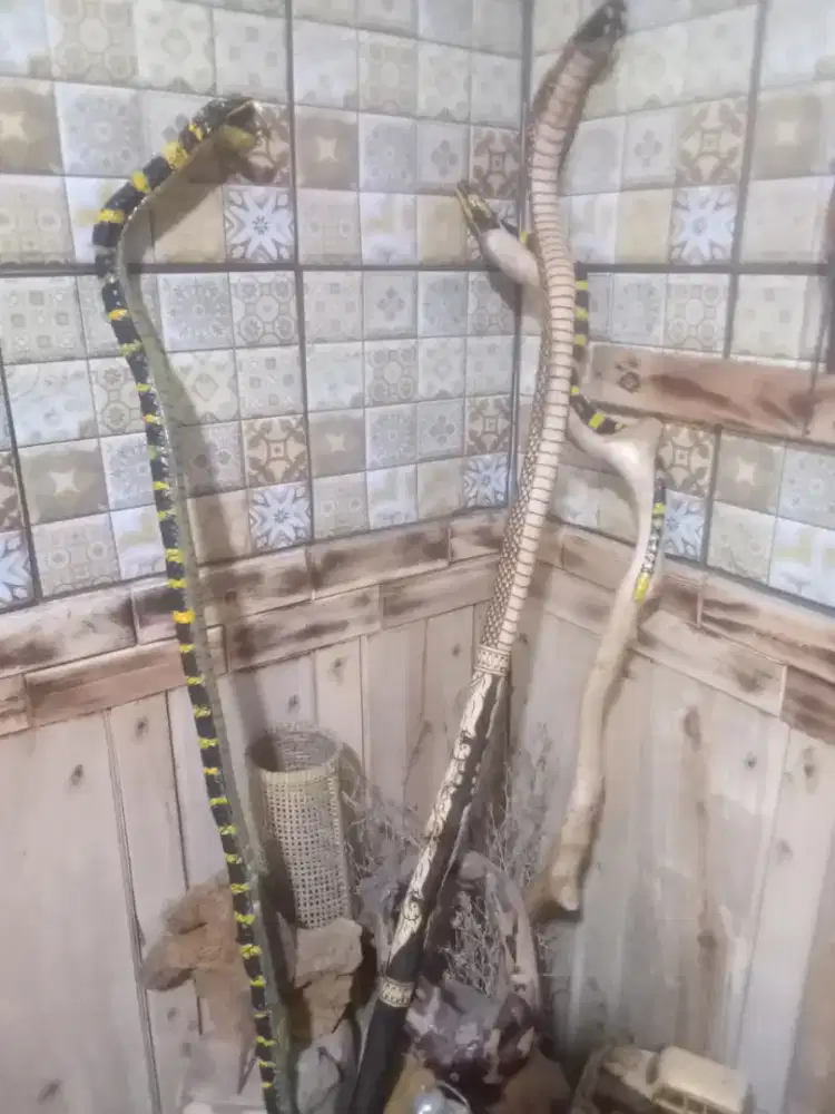 Tongkat iteuk berkarakter